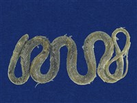 藏品(青蛇)的圖片